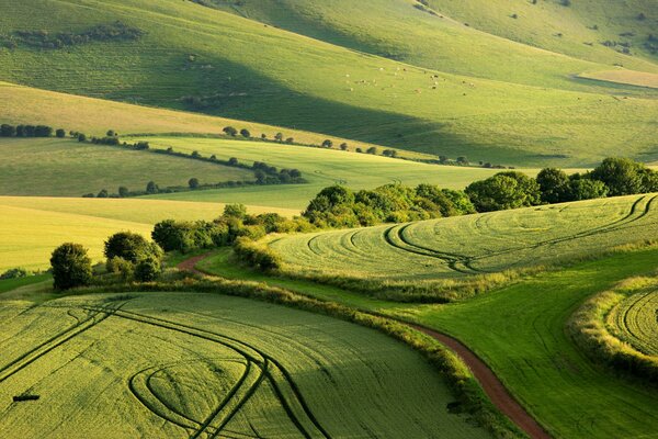 Campos en el parque nacional South Downs en verano