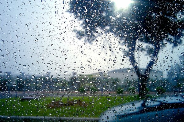 Raindrops on the glass