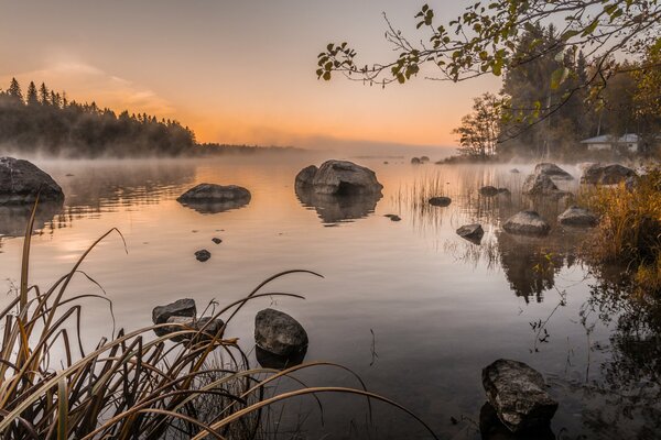 Stones on the morning lake in the fog