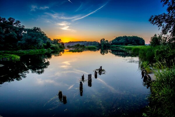 Ein Teich im Sonnenuntergang unter saftigem grünem Laub