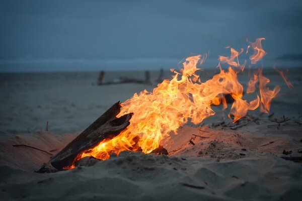 Bonfire on the sand with ocean view