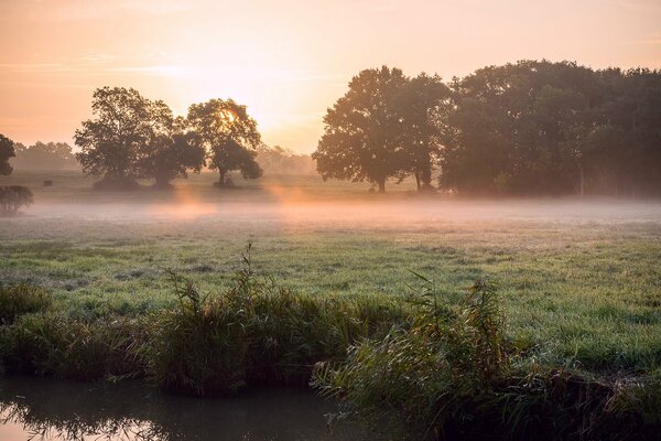 Raggi di sole che si infrangono attraverso la nebbia sulla riva del fiume