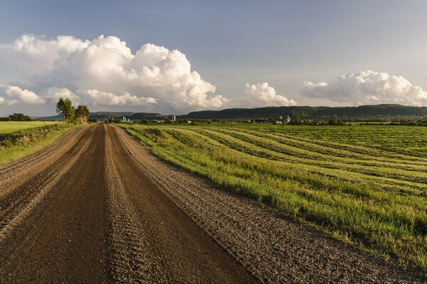 Champs agricoles le long de la route