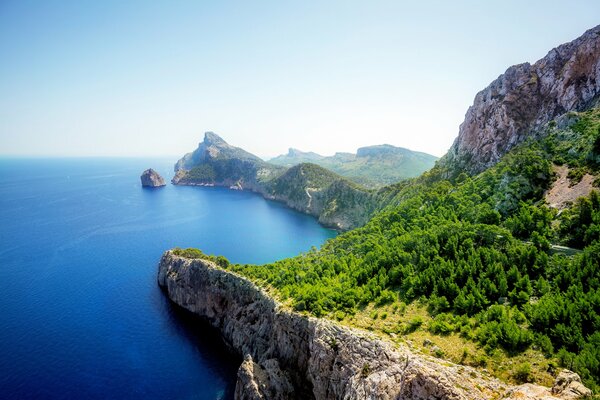 Roccia con alberi in riva al mare