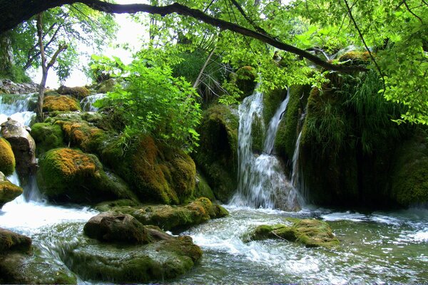 Laghi di Plitvice in Croazia