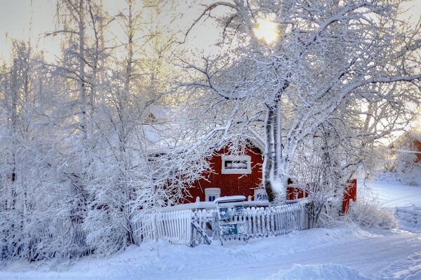 Haus im Winterwald Foto