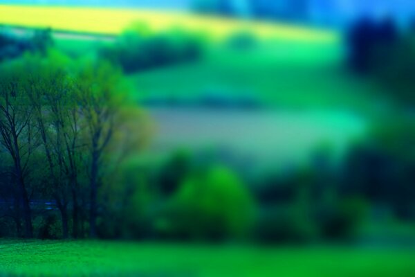 Colline nebbiose in estate