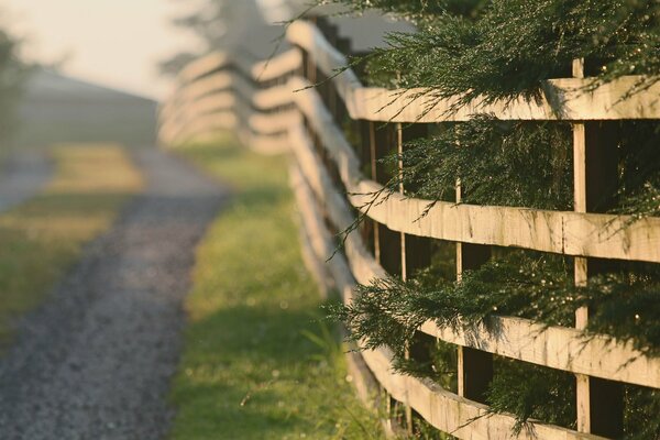 Der Morgenweg entlang des Zauns