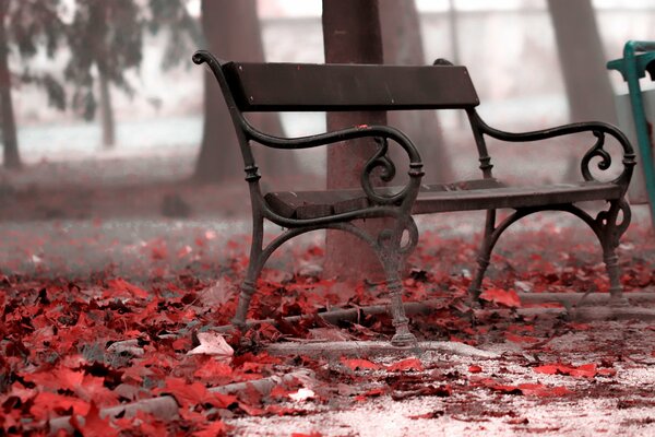 A cloudy day in a deserted park. A lonely bench waiting for visitors