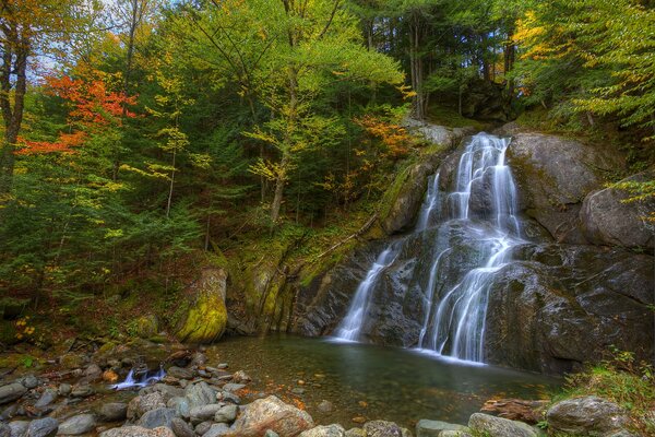 Cascade dans la forêt d automne