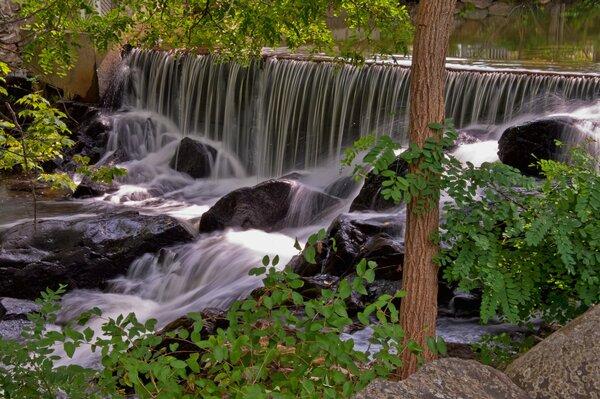 Waterfall with stones on the background of nature