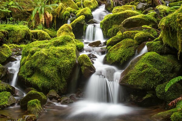 Cascata chic tra rocce e muschio