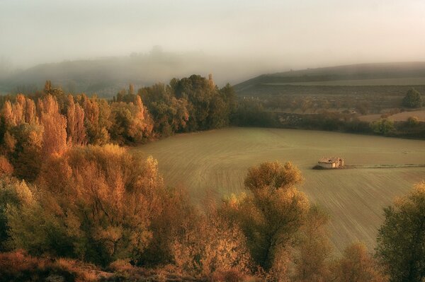 Beautiful la cabaña drowning in autumn haze