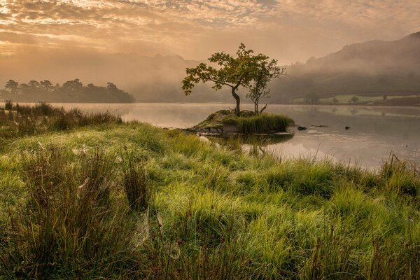 Nebel fiel am Morgen auf den See