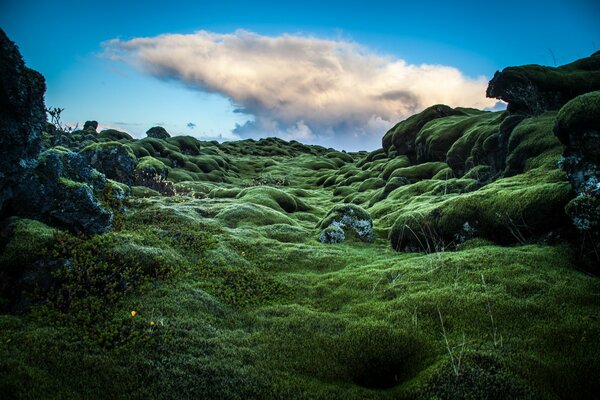 Photo of green hills in Ireland