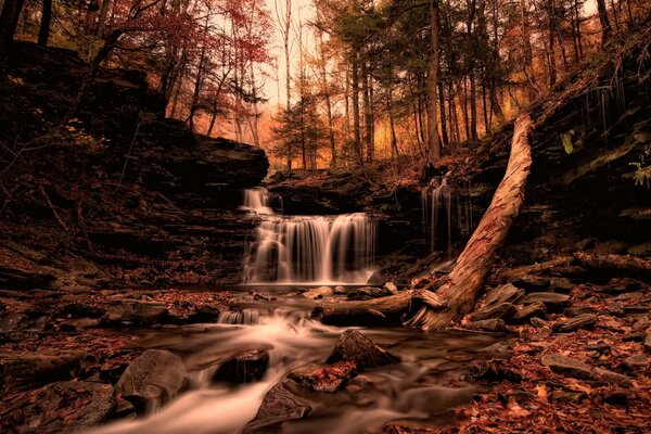 A small waterfall in the forest in autumn