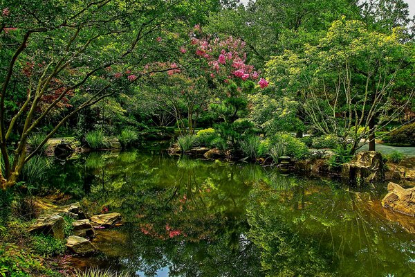 Estados Unidos parque estanque Gibbs jardines arbustos naturaleza