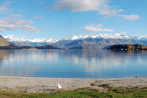 Montañas y lagos En nueva Zelanda