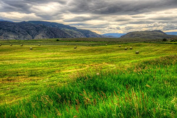 Natur, Felder, Berge in Kanada. l