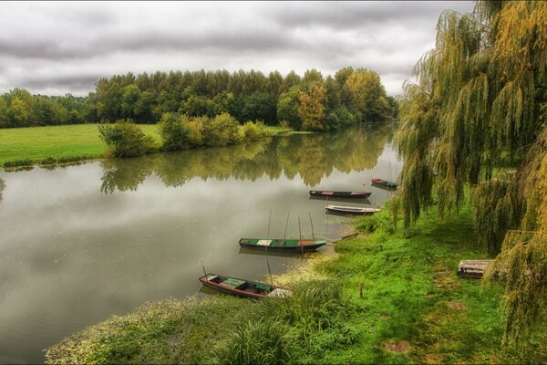 Arbres sur la rive de la rivière sous un ciel sombre