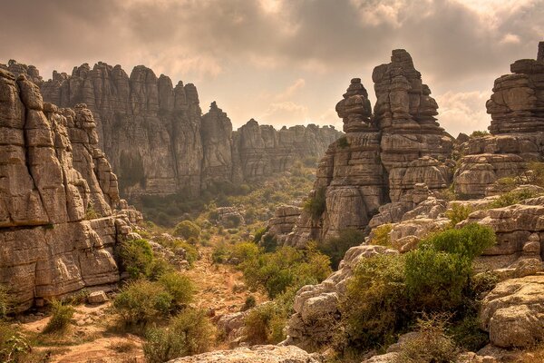 Paysage rocheux avec des arbustes verts