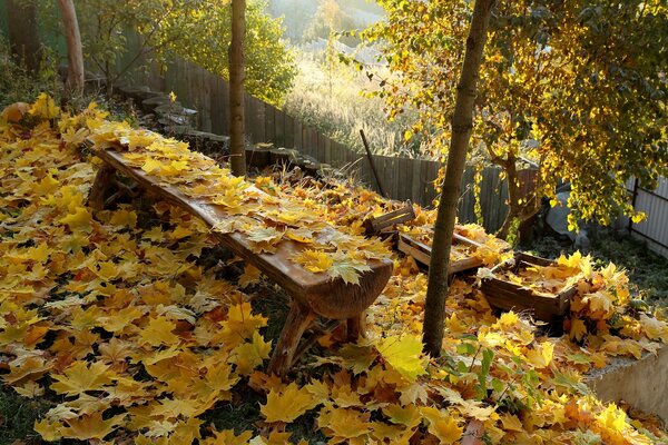 Leaves covered the bench