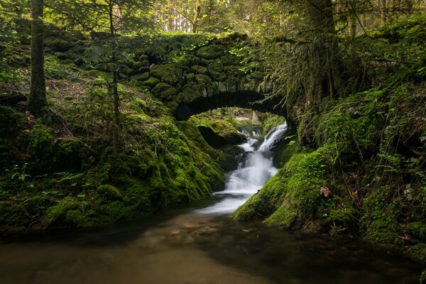 Kolorowy most nad leśną rzeką w Schwarzwaldzie