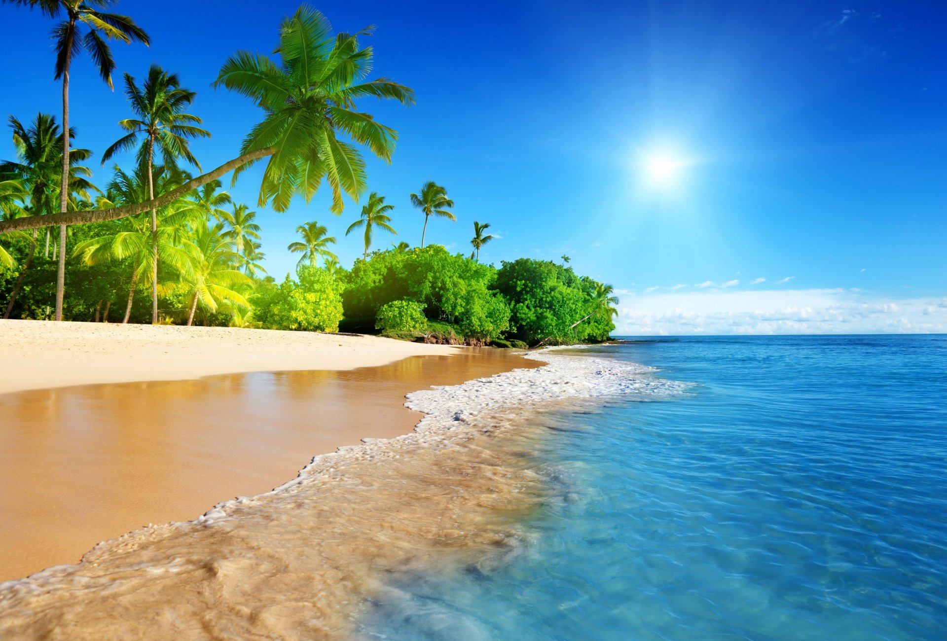 palme costa spiaggia oceano tropici esotici