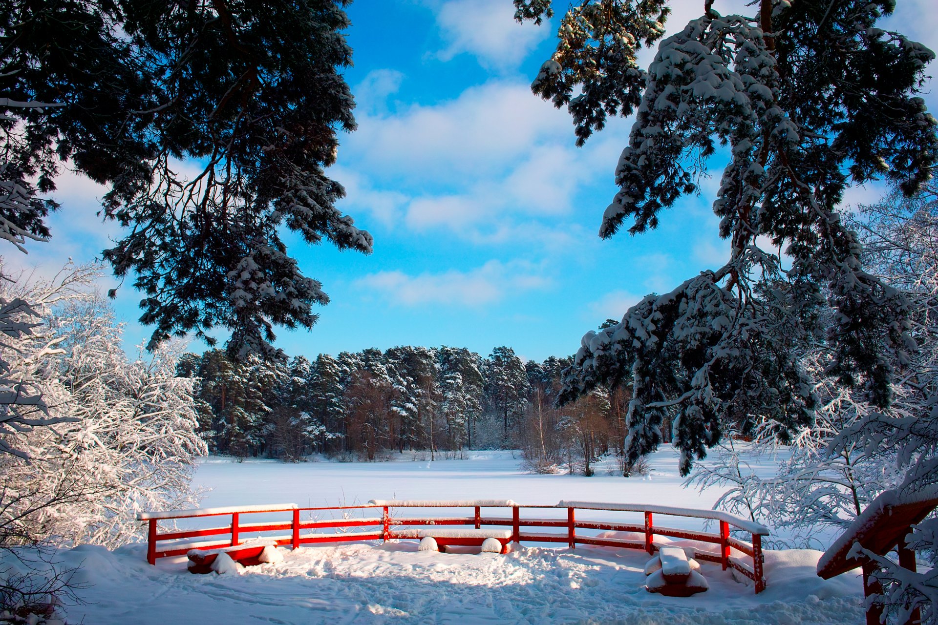 hiver neige parc arbres branches bancs ciel soleil