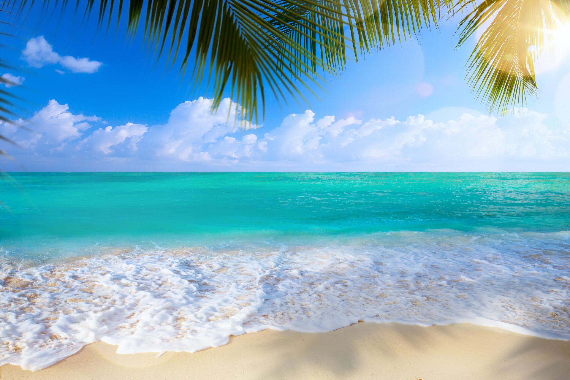 im sommer strand meer küste paradies tropisch sand palmen