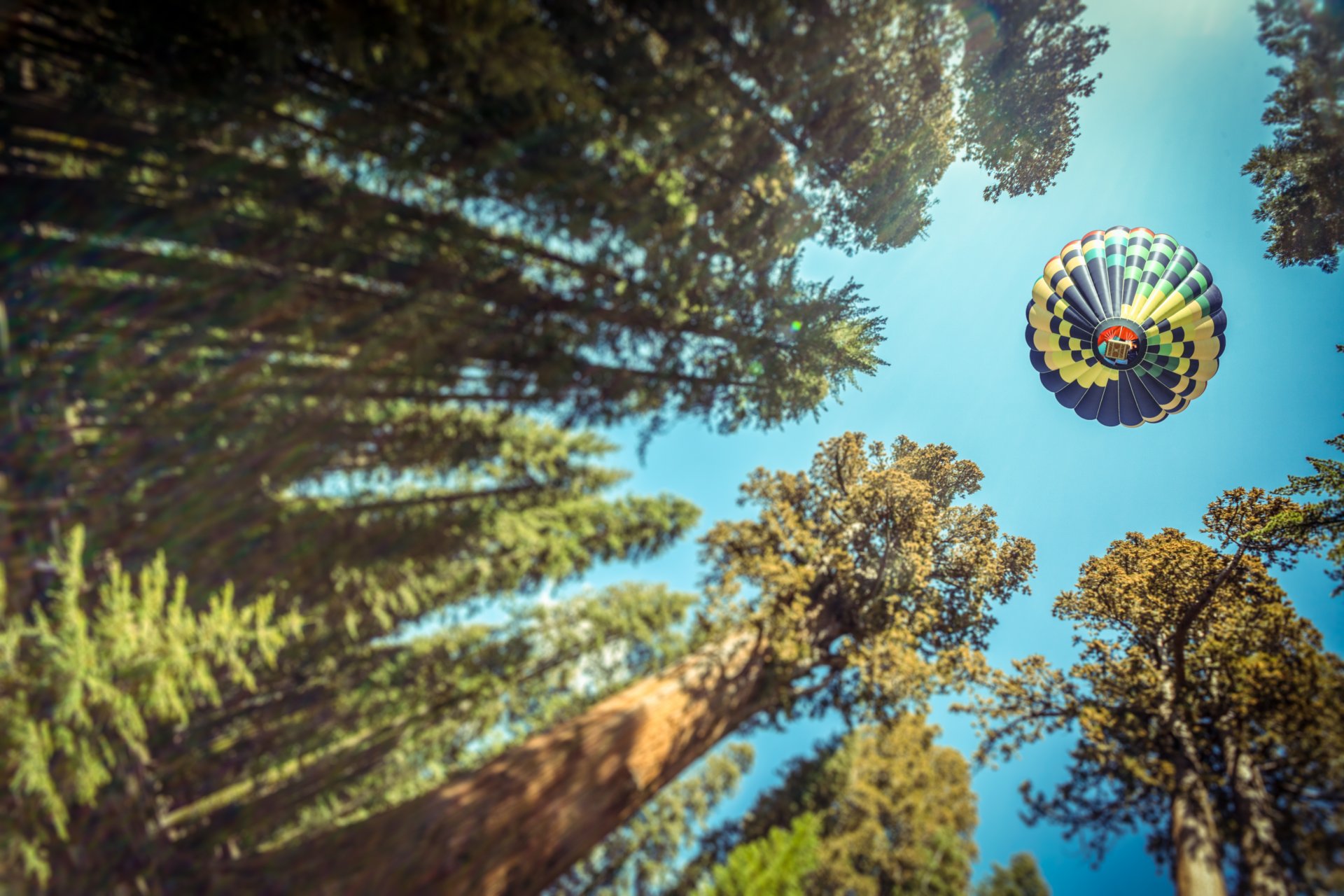 fotograf andrés nieto porras zdjęcie aeronautyka balon las drzewa widok kąt