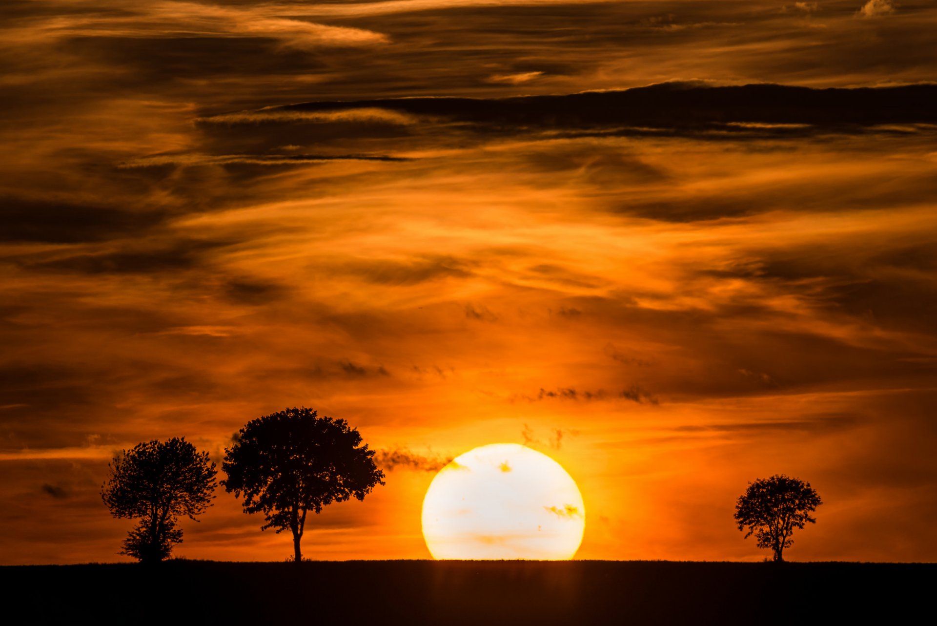 ky clouds sun sunset tree silhouette