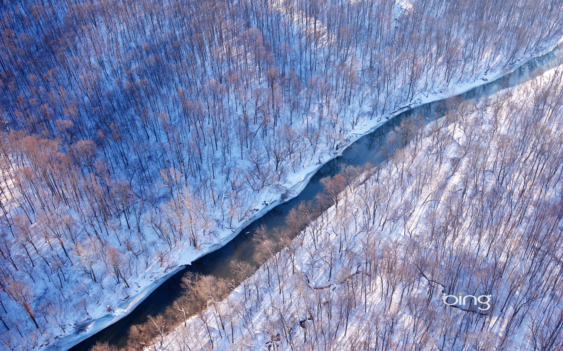 virginia estados unidos bosque invierno río nieve