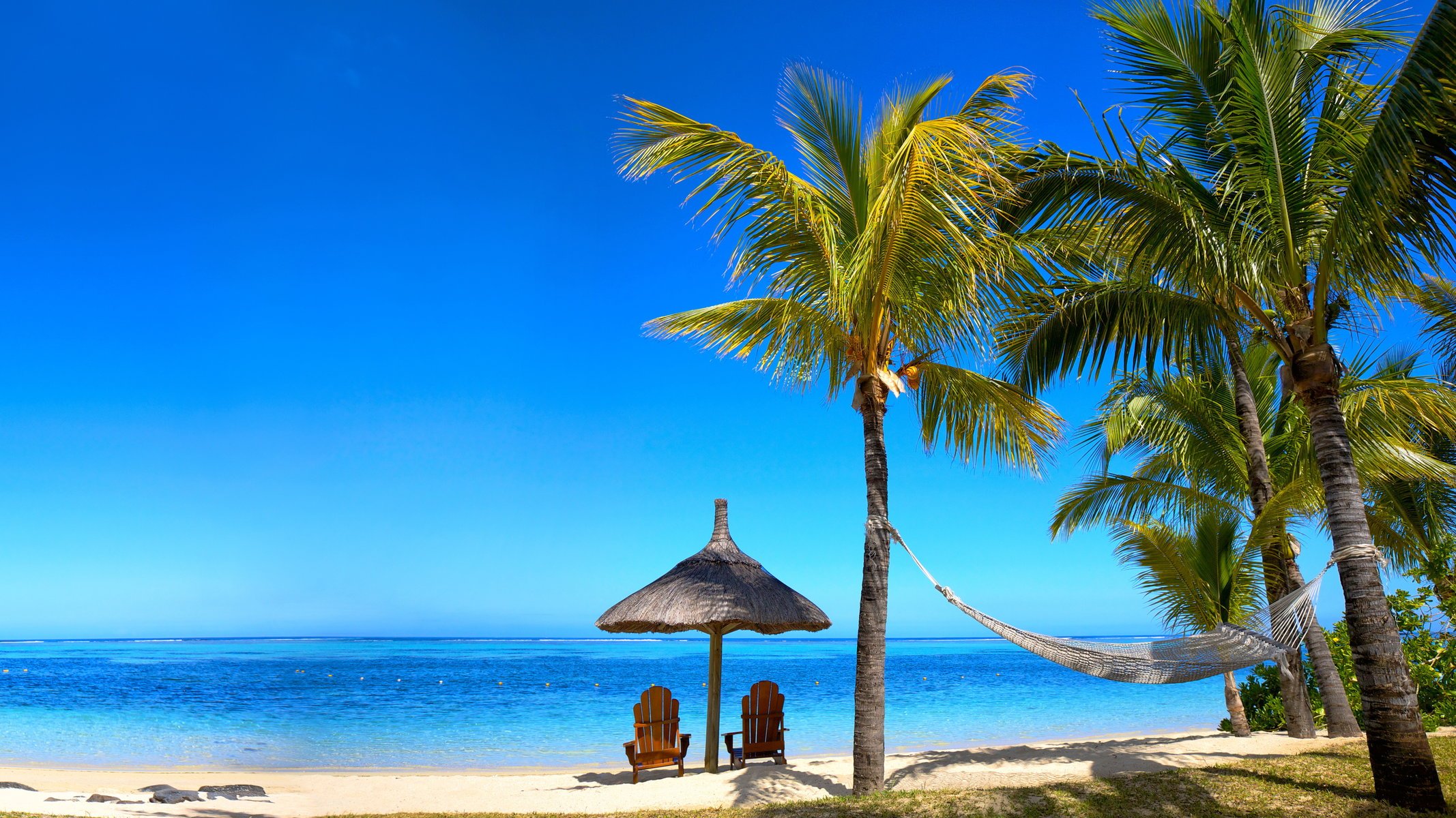 été plage mer côte paradis tropical sable palmiers