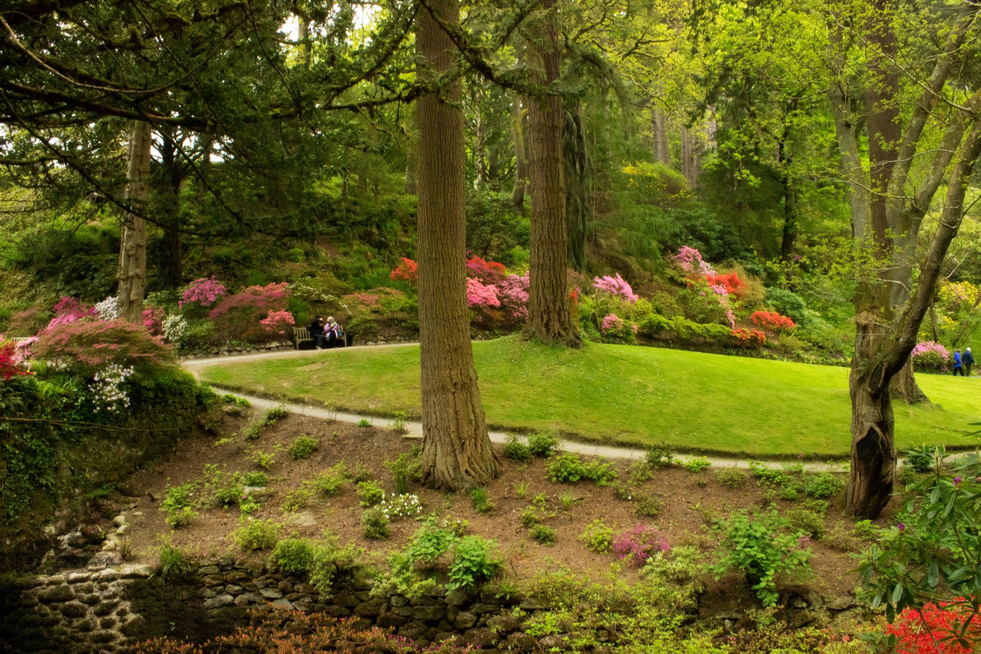 royaume-uni parc jardins bodnant pays de galles herbe buissons arbres verdure banc