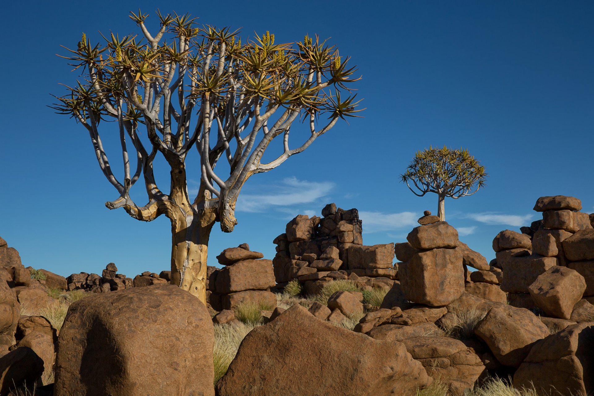 namibia afrika himmel bäume steine landschaft