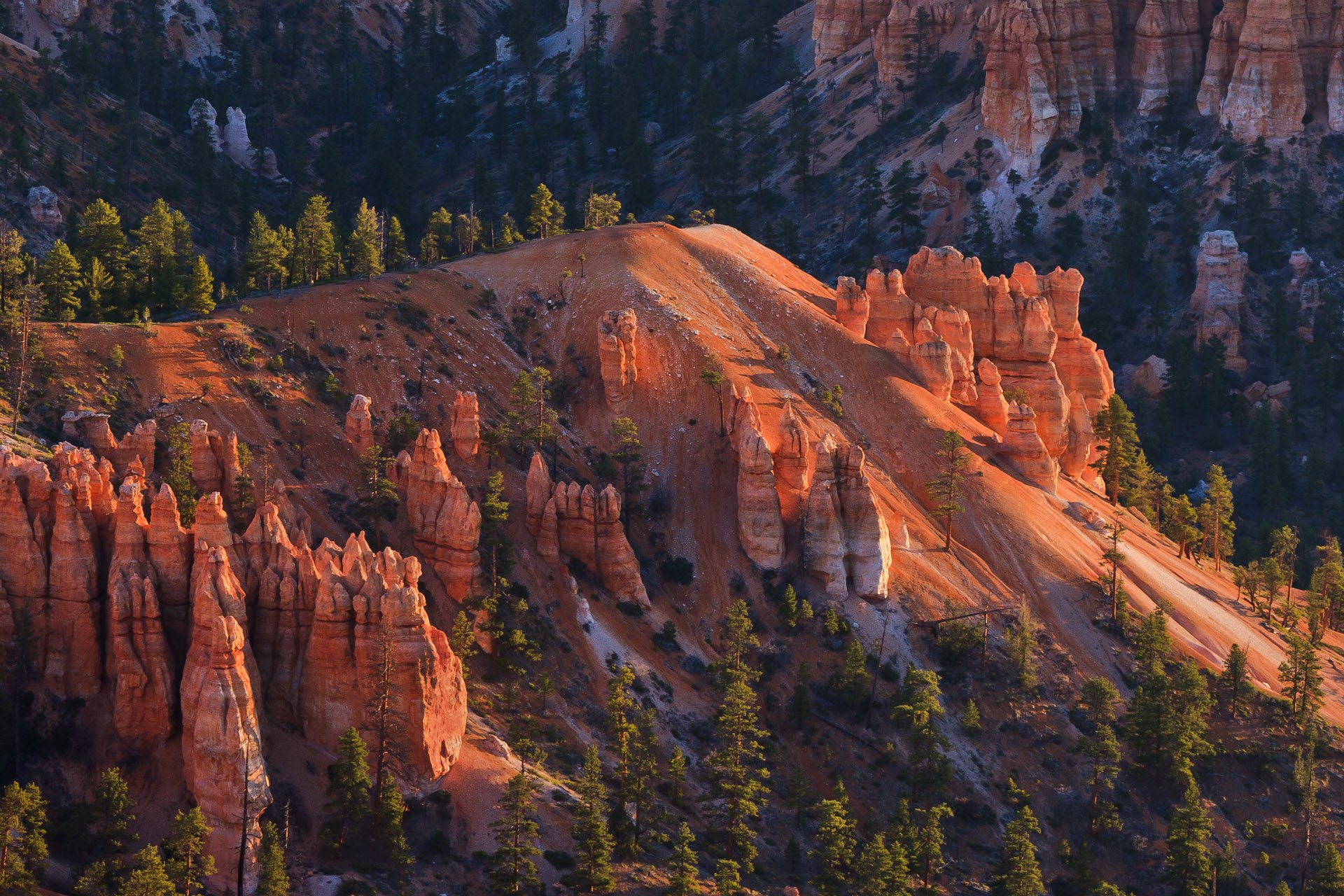 parc national de bryce canyon utah usa roches montagnes arbres pente