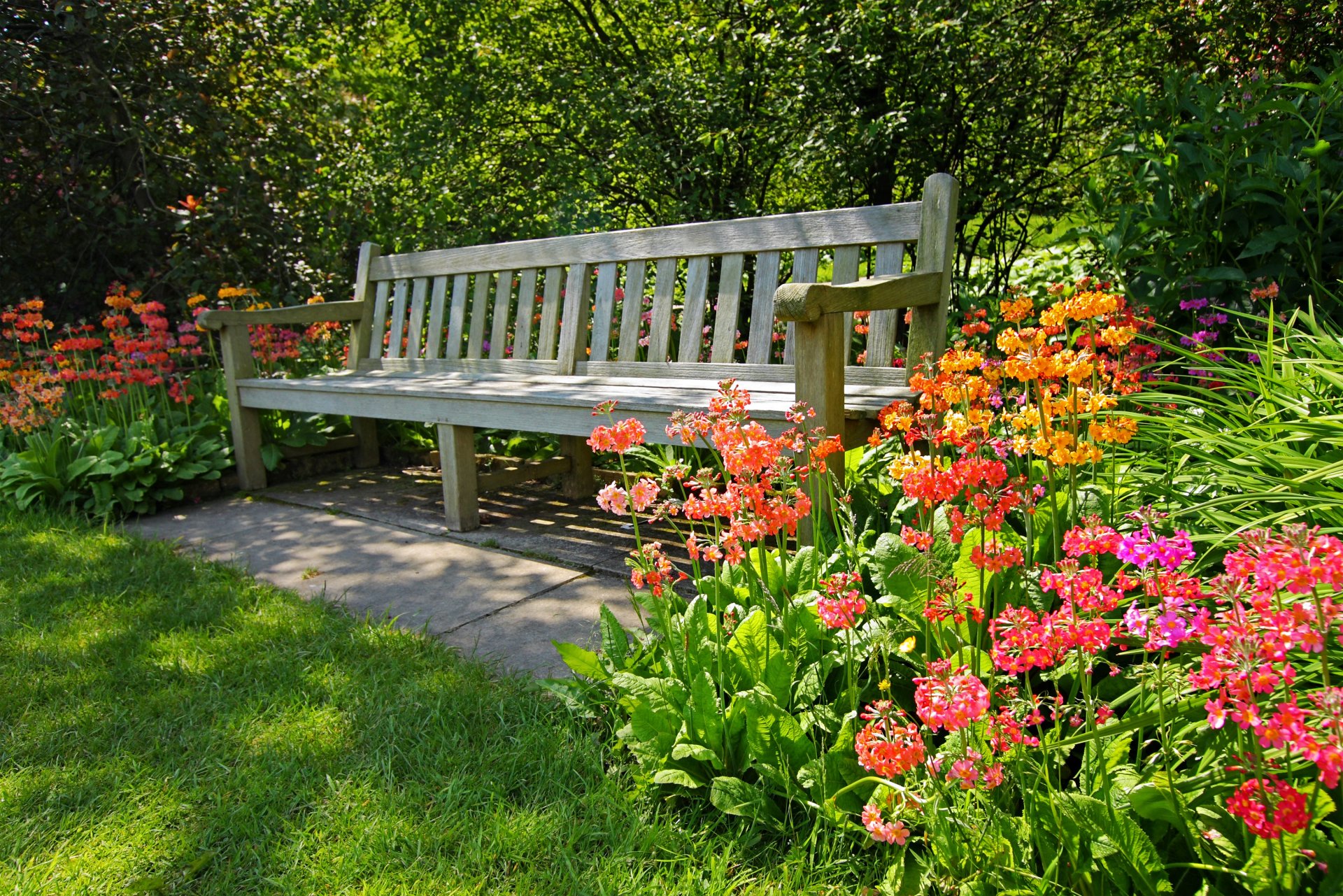 banc arbres fleurs herbe été rayons