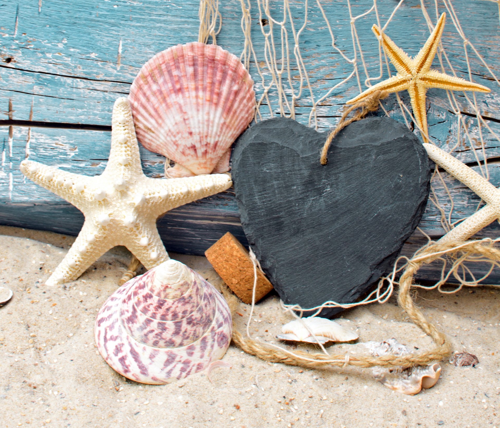 coquillages étoiles net bois marine sable plage maille cailloux