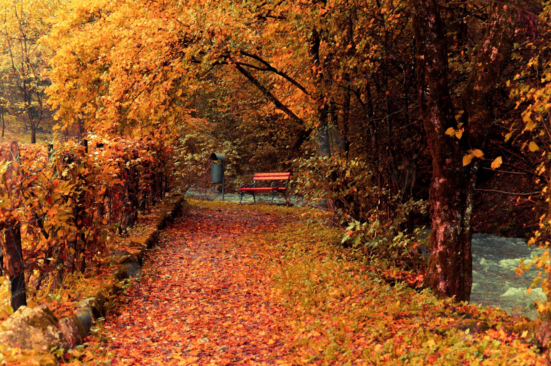 autumn park tree leaves yellow track fence bench shop creek