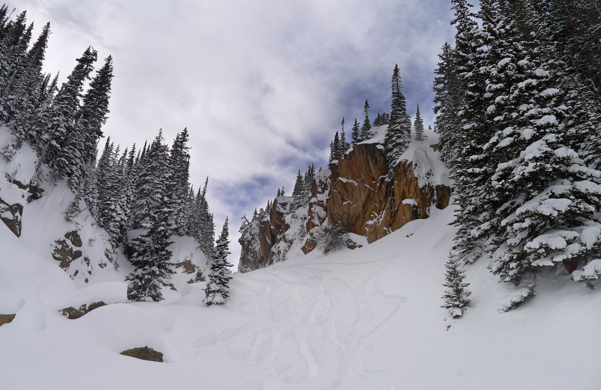 schnee wald rock winter