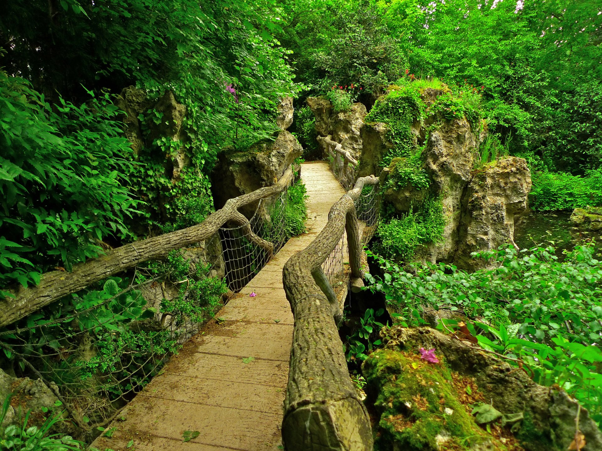 albert kang japanische gärten frankreich paris garten teich brücke steine grüns sträucher zweige blätter