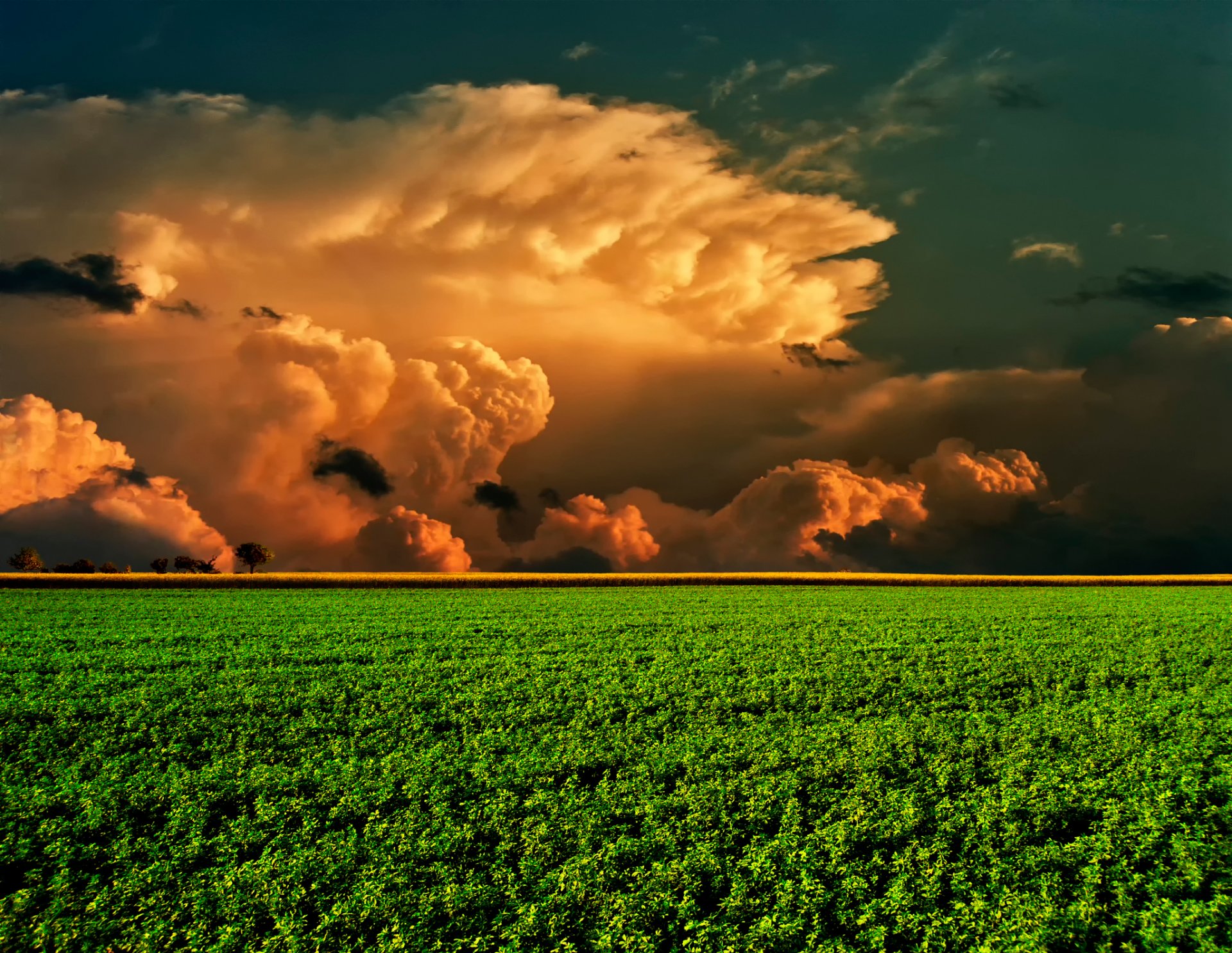 the field sky clouds horizon