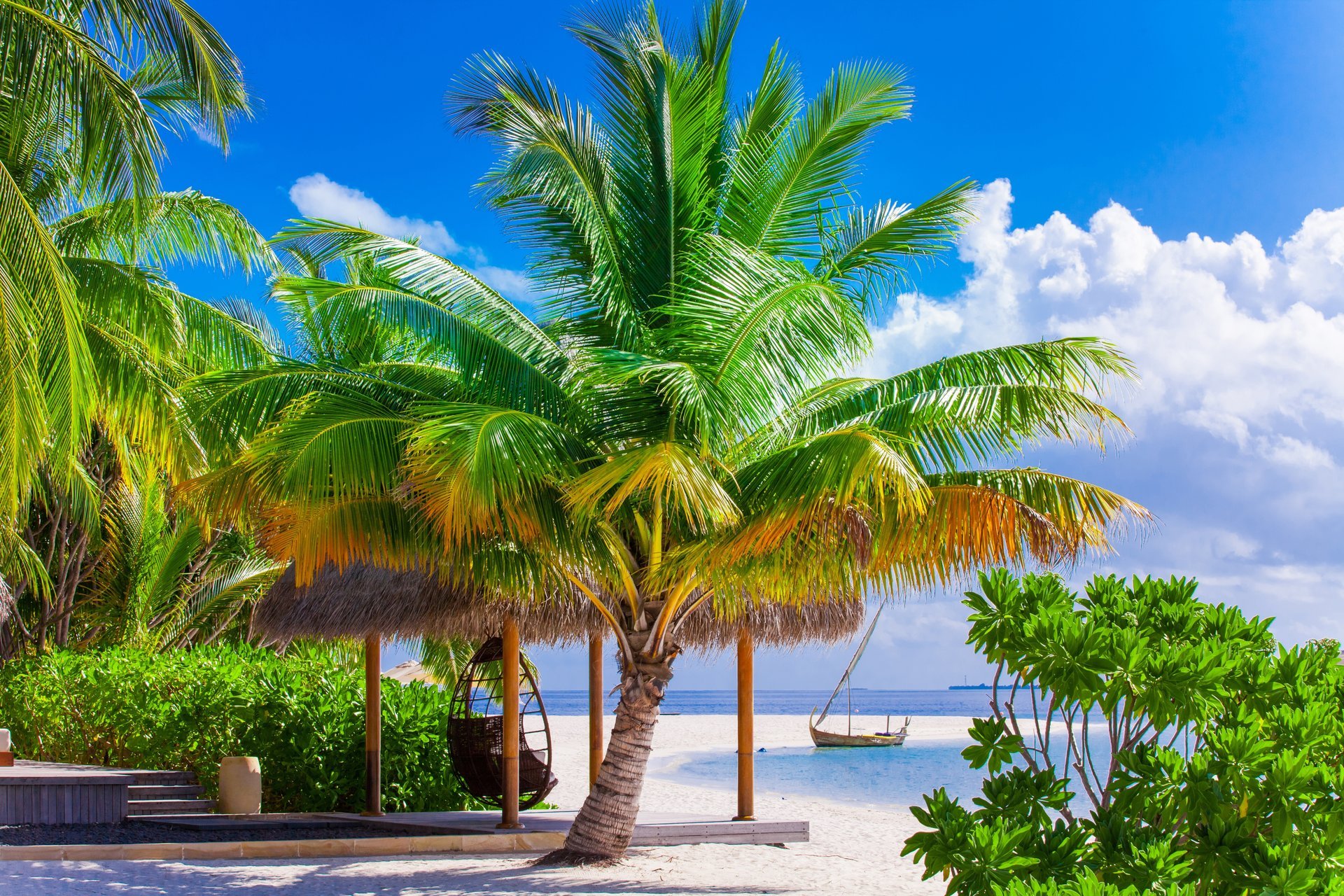 estate spiaggia mare spiaggia paradiso tropicale sabbia palme