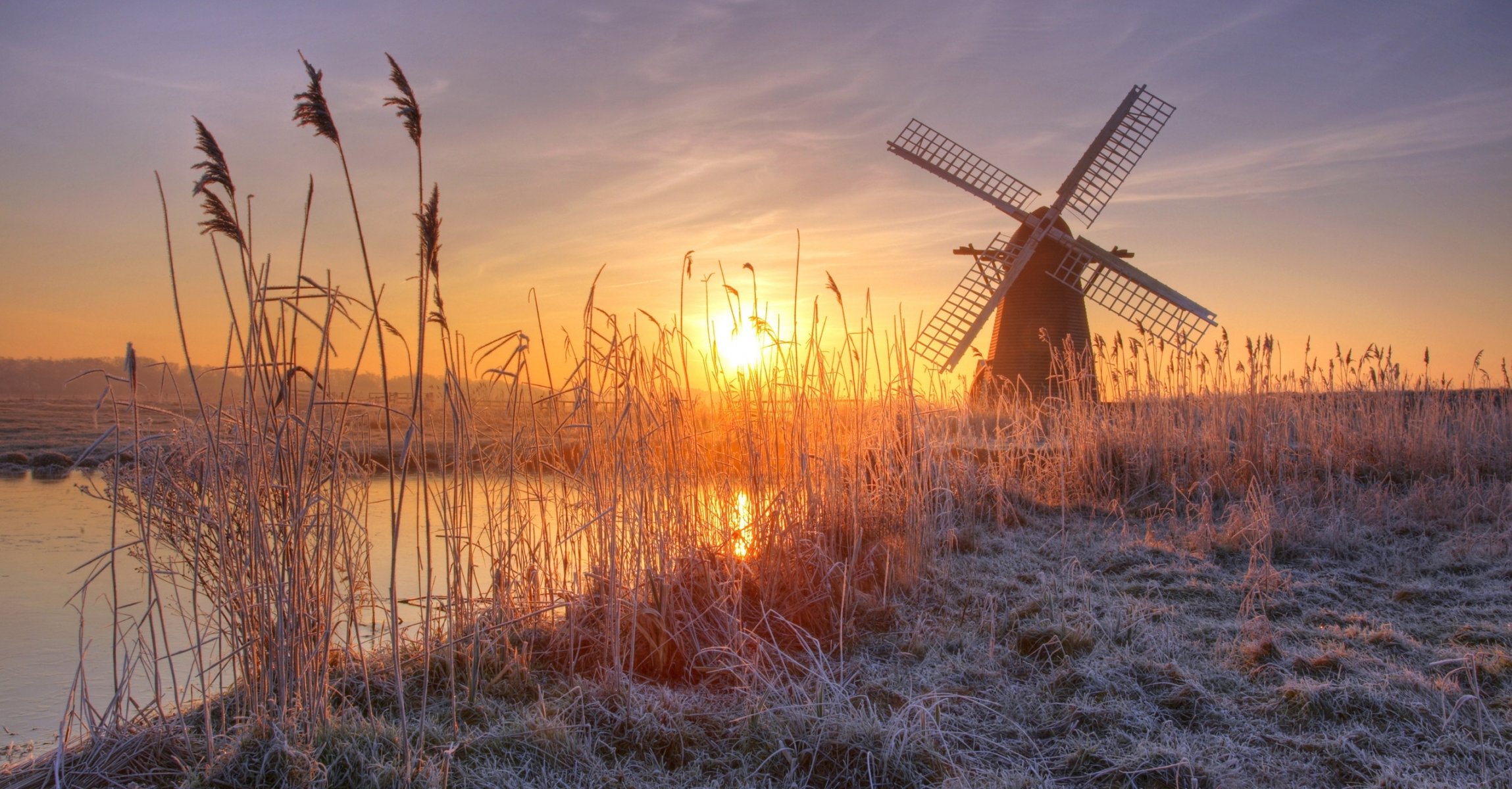 rivière roseaux givre moulin soleil