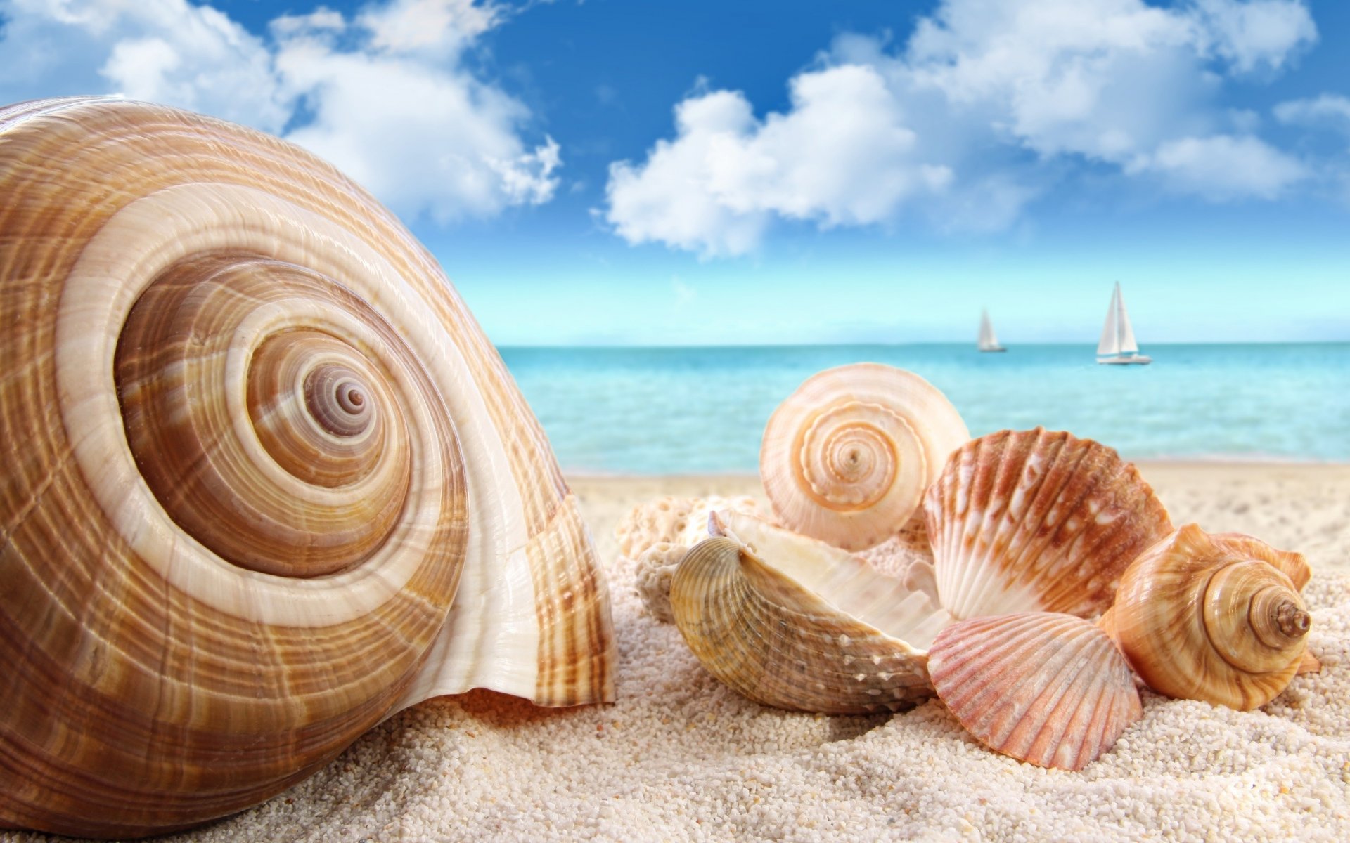 sand muscheln wolken meer segelboote