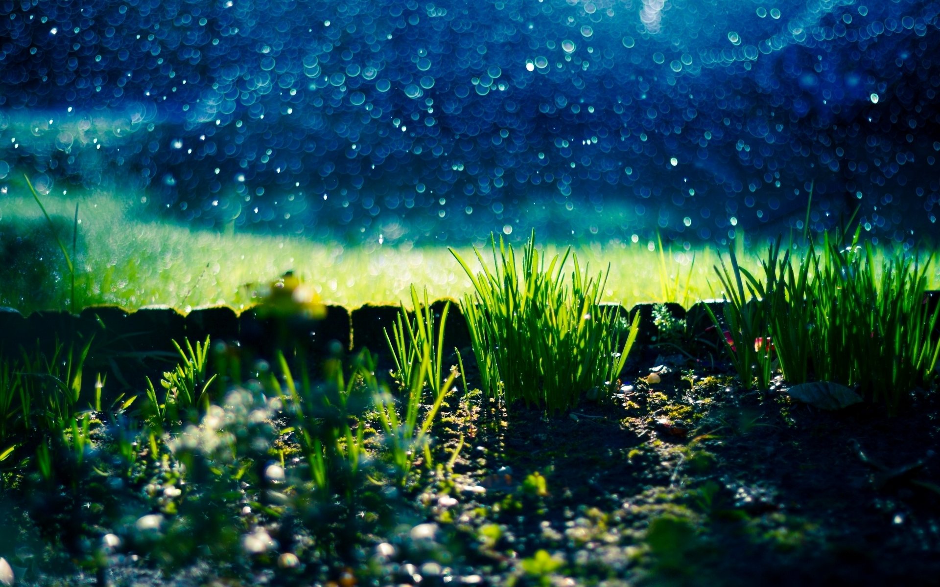 natur gras gras grün steine kiesel bokeh unschärfe hintergrund tapete widescreen vollbild widescreen