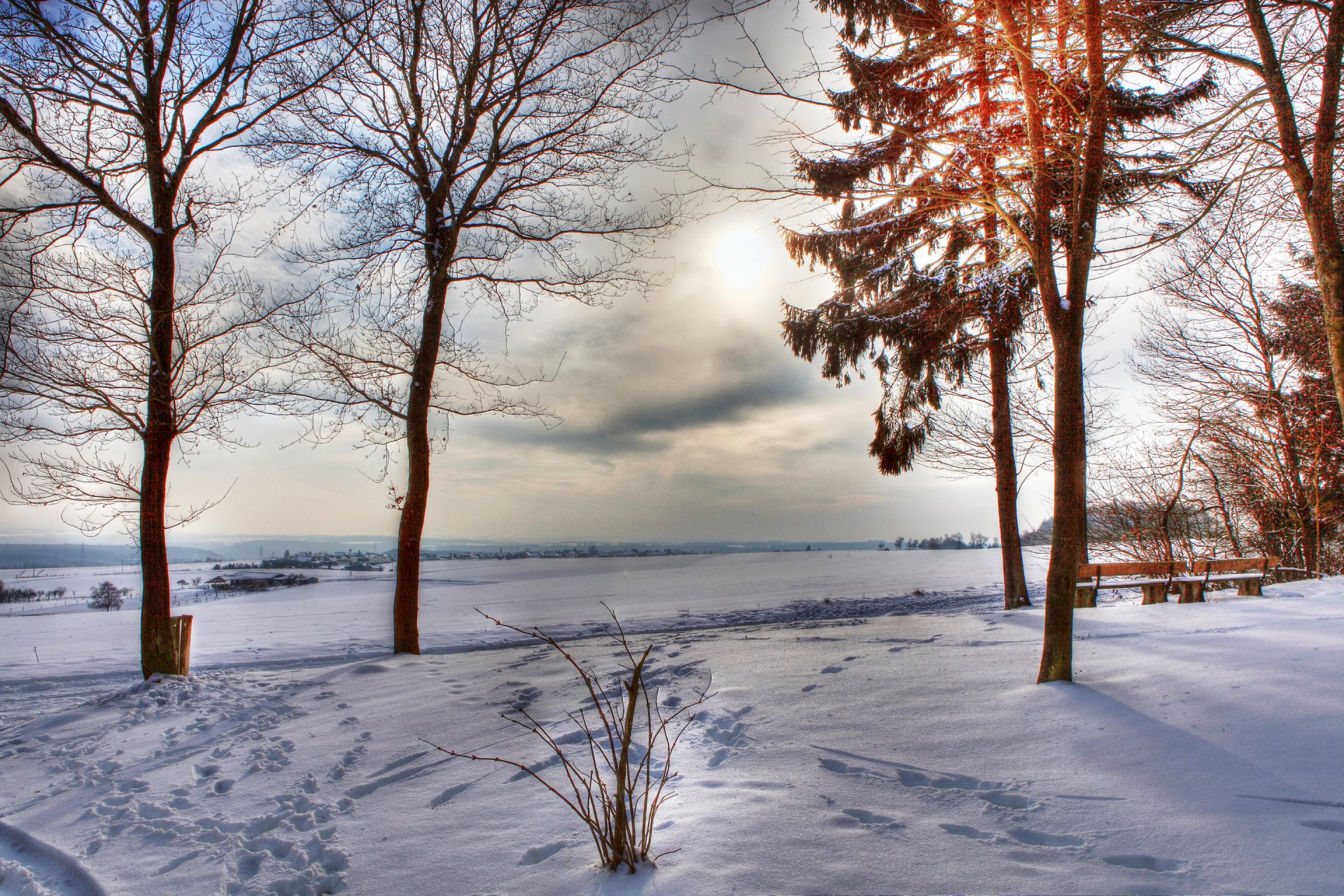 ciel nuages nuages champ arbres hiver neige