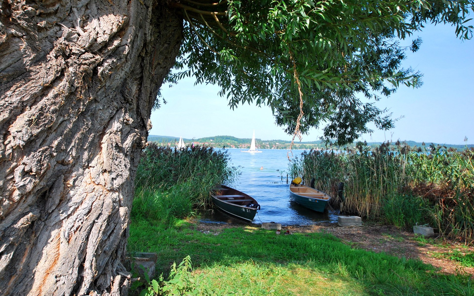 arbre rivière bateau crique voile ciel herbe montagnes lac