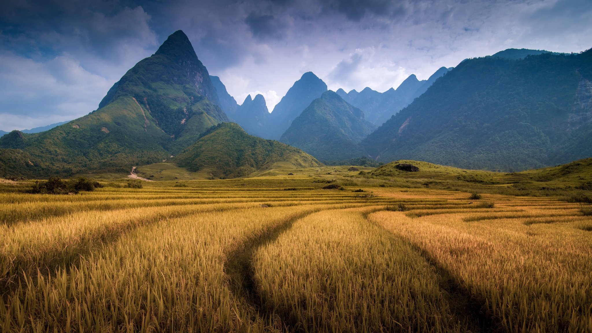 vietnam provincia de laocai montaña fansipan montañas campo